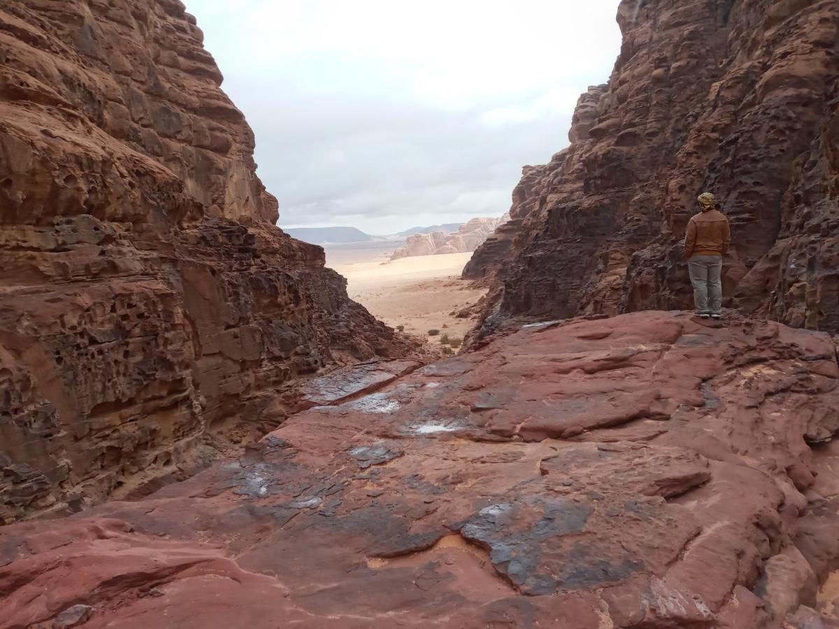 Rum Moon Luxury Camp Wadi Rum Extérieur photo